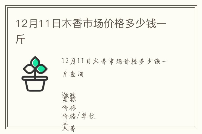 12月11日木香市场价格多少钱一斤