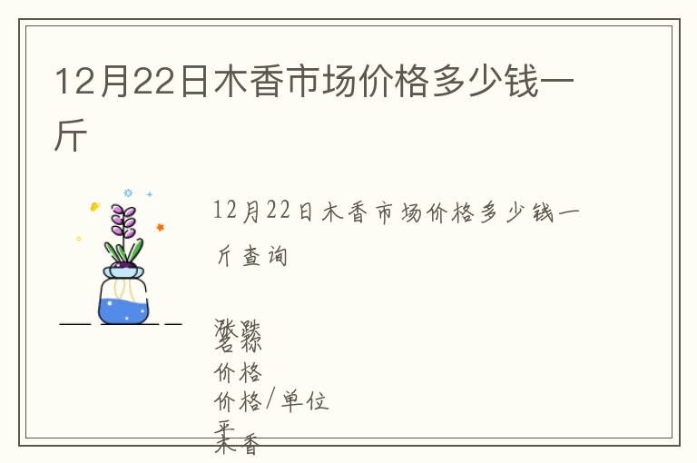 12月22日木香市场价格多少钱一斤