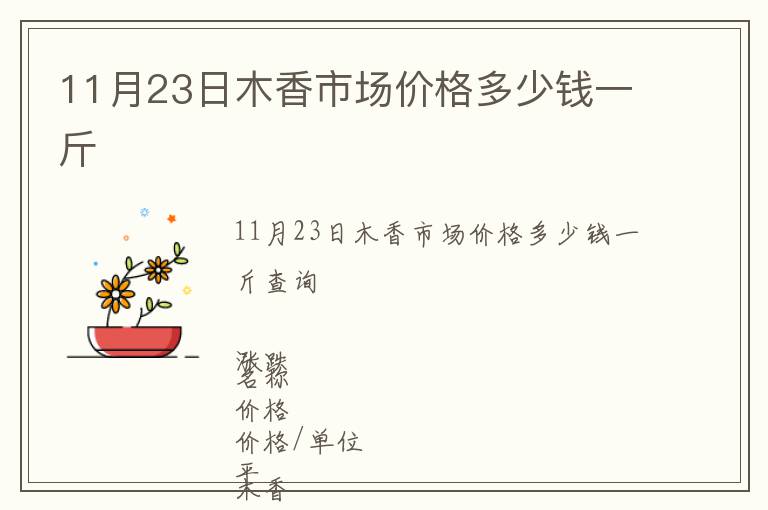 11月23日木香市场价格多少钱一斤